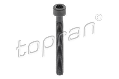 SURUB SUPORT INJECTOR