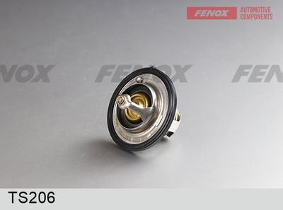 термостат, охладителна течност FENOX TS206