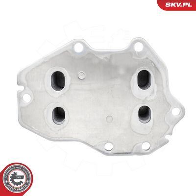 Oleja chladič, motorový olej ESEN SKV 31SKV470