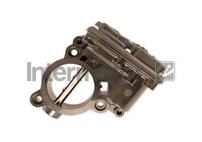 Throttle Body Intermotor 68415