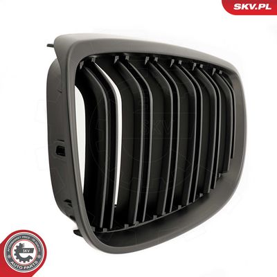 GRILA RADIATOR ESEN SKV 66SKV109 7