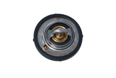 TERMOSTAT LICHID RACIRE NRF 725182 46