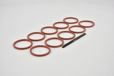 ETANSARE RACIRE ULEI FEBEST RINGOL066PCS10 45