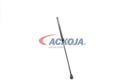 AMORTIZOR PORTBAGAJ ACKOJA A380338 24