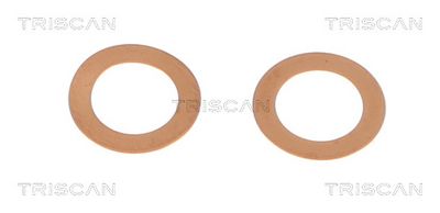 Bremseslange TRISCAN 8150 431026