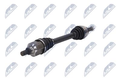 PLANETARA NTY NPWCT053 37