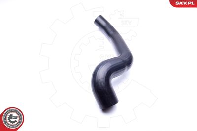 FURTUN EAR SUPRAALIMENTARE