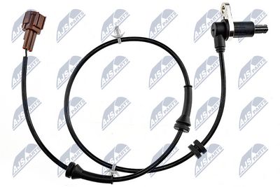 HCA-NS-082