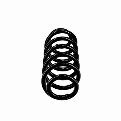 ARC SPIRAL EIBACH R10615 1