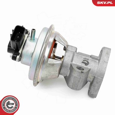 SUPAPA EGR ESEN SKV 14SKV262 2