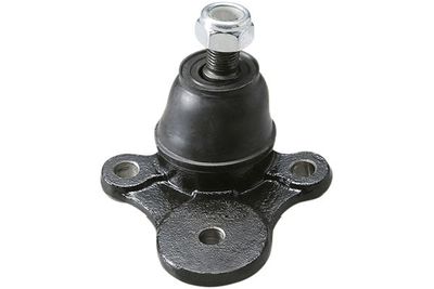 Kavo Parts Šarnyras / girgždukas