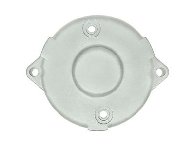 AS-PL Starterdeckel, Vergaser