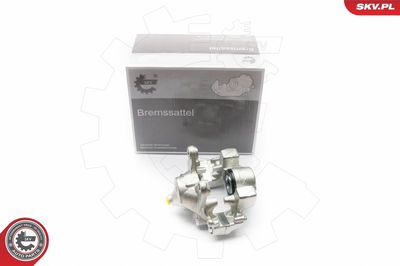 Brake Caliper 23SKV383