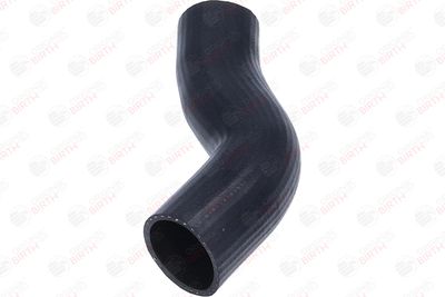 FURTUN EAR SUPRAALIMENTARE BIRTH 55811 4