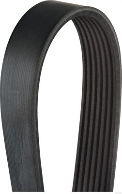 Pasek klinowy wielorowkowy HERTH+BUSS JAKOPARTS J1071570