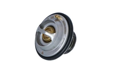 TERMOSTAT LICHID RACIRE NRF 725105 13