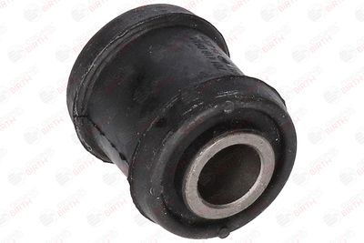 BUCSA ARBORE DE DIRECTIE BIRTH 4817 9