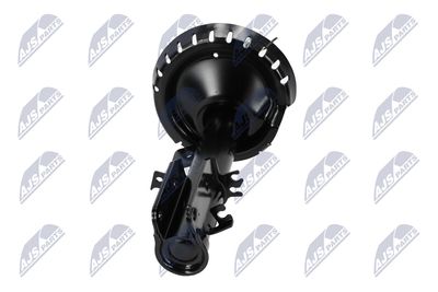 AMORTIZOR NTY ACT041 17