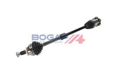 PLANETARA BOGAP A3710382 1