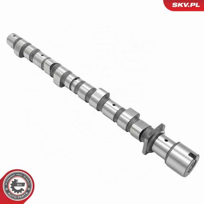 AX CU CAME ESEN SKV 80SKV019 2