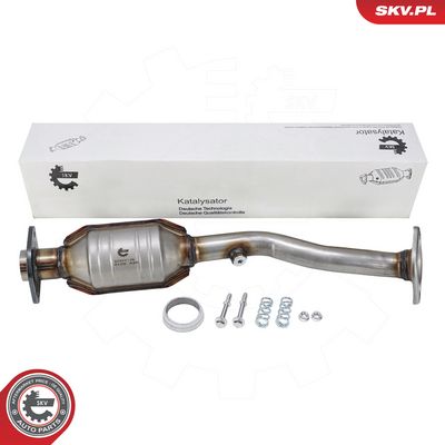 Katalyzátor ESEN SKV 62SKV138