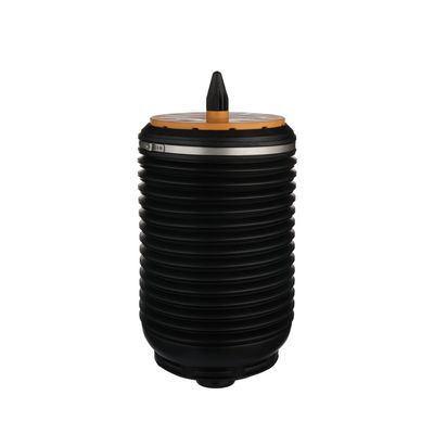 LUFTFEDER FAHRWERK Arnott A3891 19