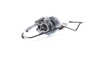 LADER AUFLADUNG BTS Turbo T981124 24