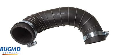 FURTUN EAR SUPRAALIMENTARE