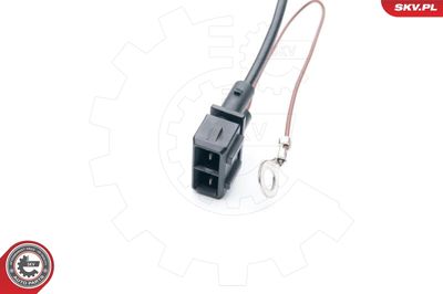 SONDA LAMBDA ESEN SKV 09SKV523 2
