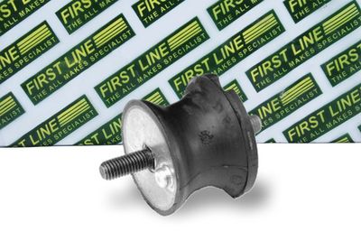 окачване, двигател FIRST LINE FEM3191