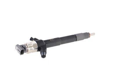 INJECTOR REMANTE 002003001019R 37