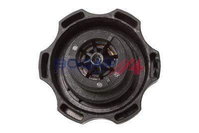 BUSON VAS EXPANSIUNE BOGAP L4211101 3