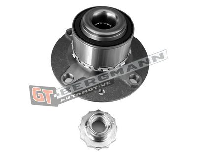 GT-BERGMANN Automotive Rato guolio komplektas