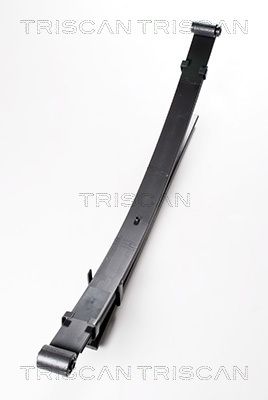 TRISCAN Federnpaket