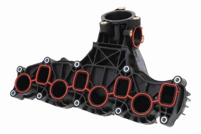 MODUL CONDUCTA ADMISIE VAICO V106485 2