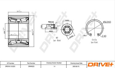 SET RULMENT ROATA DR!VE+ DP2010100223 1