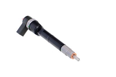 INJECTOR REMANTE 002003001100R 49