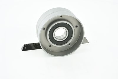 ROLA INTINZATOR CUREA TRANSMISIE FEBEST 2487MAS 25