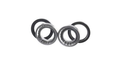 RADLAGERSATZ SKF VKBA3473 36