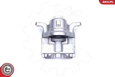 Brake Caliper 44SKV971