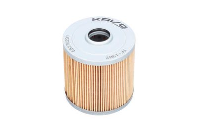 FILTRU COMBUSTIBIL AMC Filter TF1982 24