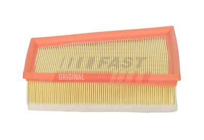 FAST Oro filtras