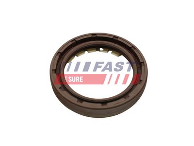 SIMERING RULMENT ROATA FAST FT49806 1