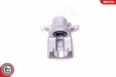 Brake Caliper 45SKV813