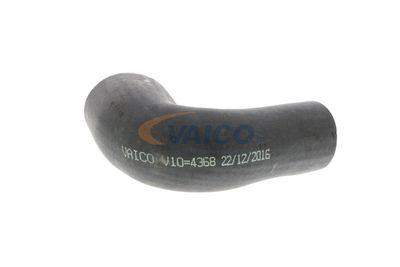 FURTUN EAR SUPRAALIMENTARE VAICO V104368 37