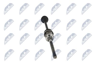 PLANETARA NTY NPWMS086 16