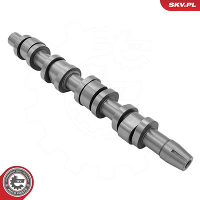 AX CU CAME ESEN SKV 80SKV072 3