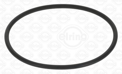 INEL DE ETANșARE POMPă COMBUSTIBIL