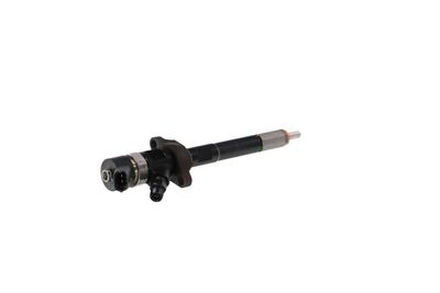 INJECTOR REMANTE 002003000030R 31