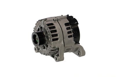 GENERATOR / ALTERNATOR REMANTE 011003001166R 65